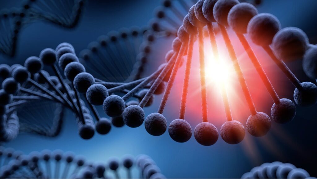 ADN sintético